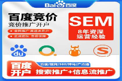 某某sem代运营公司：精准投放的背后策略